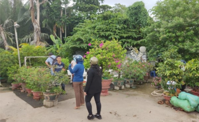 TP.HCM: kết quả giám sát chủ động công tác phòng, chống dịch sốt xuất huyết trên địa bàn Thành phố.